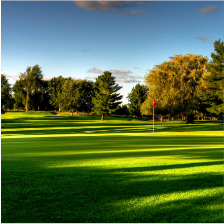 pole golfowe